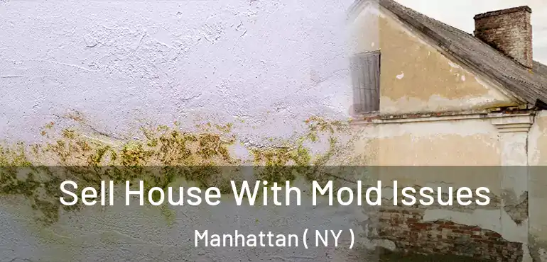  Sell House With Mold Issues Manhattan ( NY )